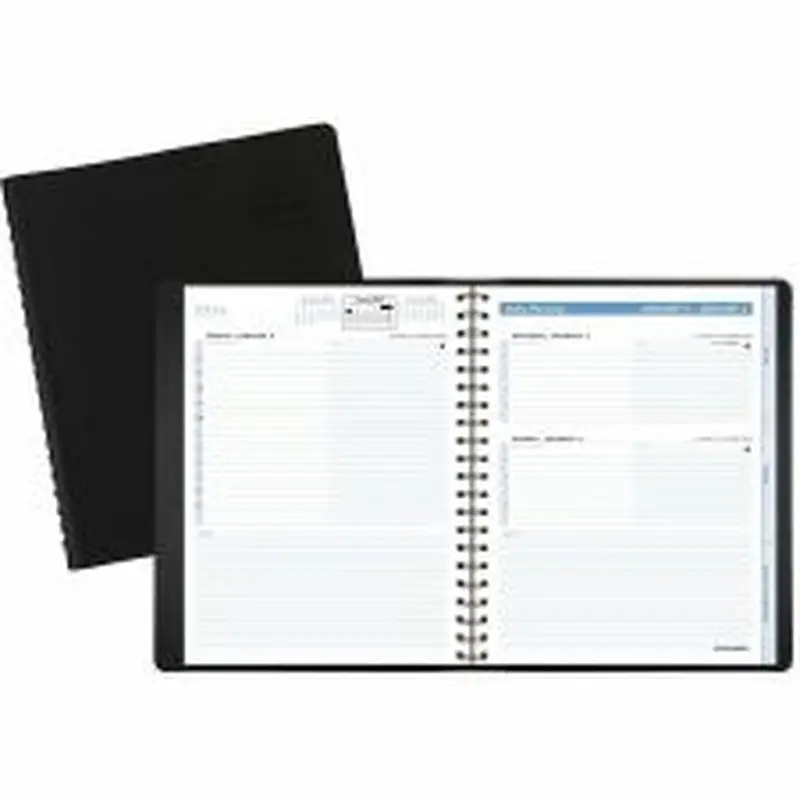 At-A-Glance Action PlannerAppointment Book Planner