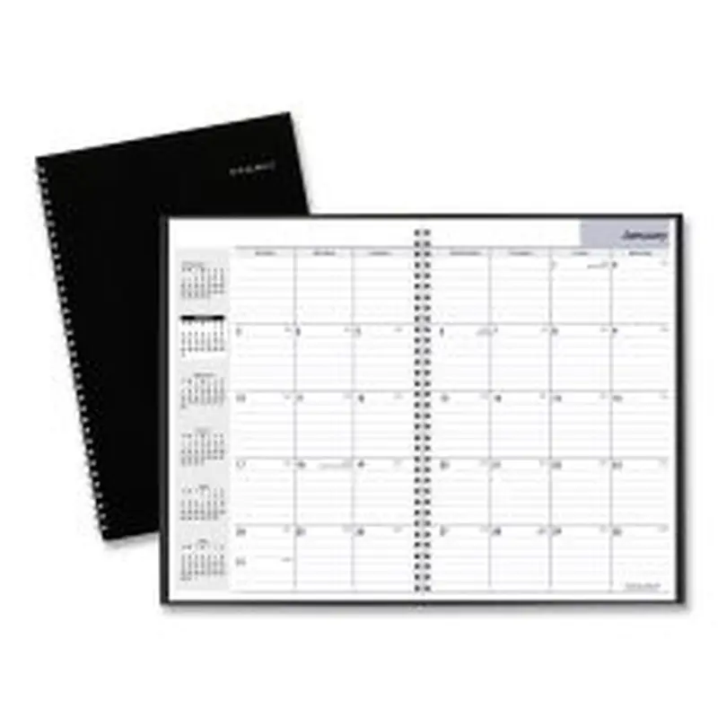 AT-A-GLANCE DayMinder Monthly Planner, Ruled Blocks, 12 x 8, Black Cover, 14-Month: Dec 2025 to Jan 2027