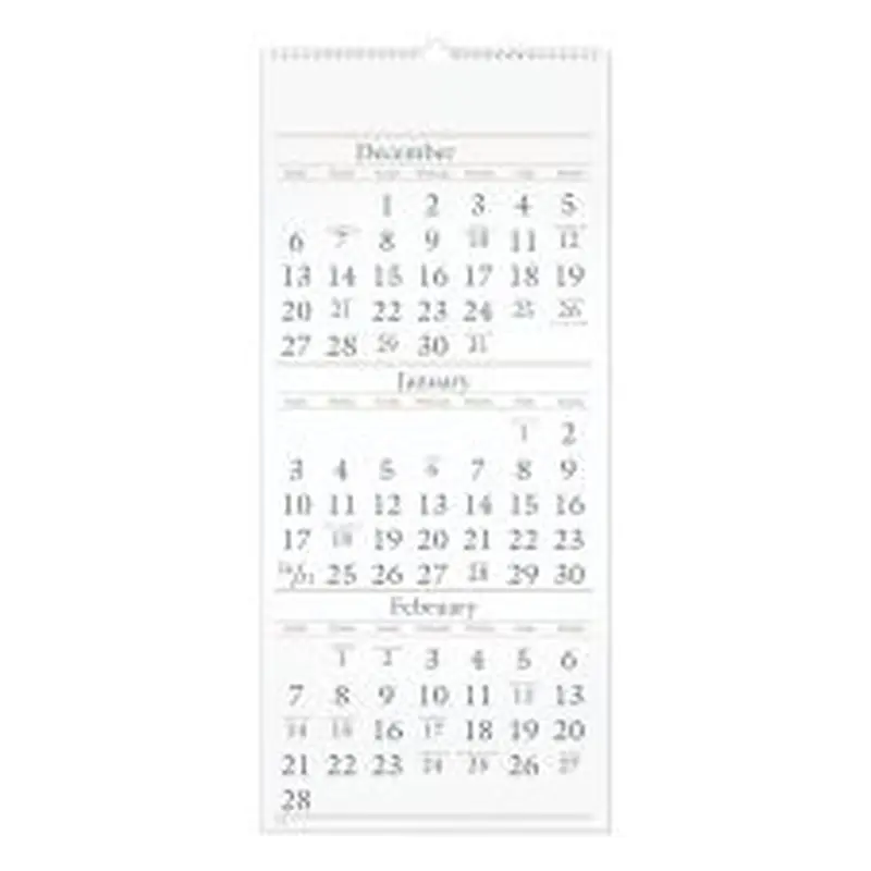 AT-A-GLANCE Three-Month Reference Wall Calendar, 12 x 27, White Sheets, 14-Month: Dec 2025 to Feb 2027