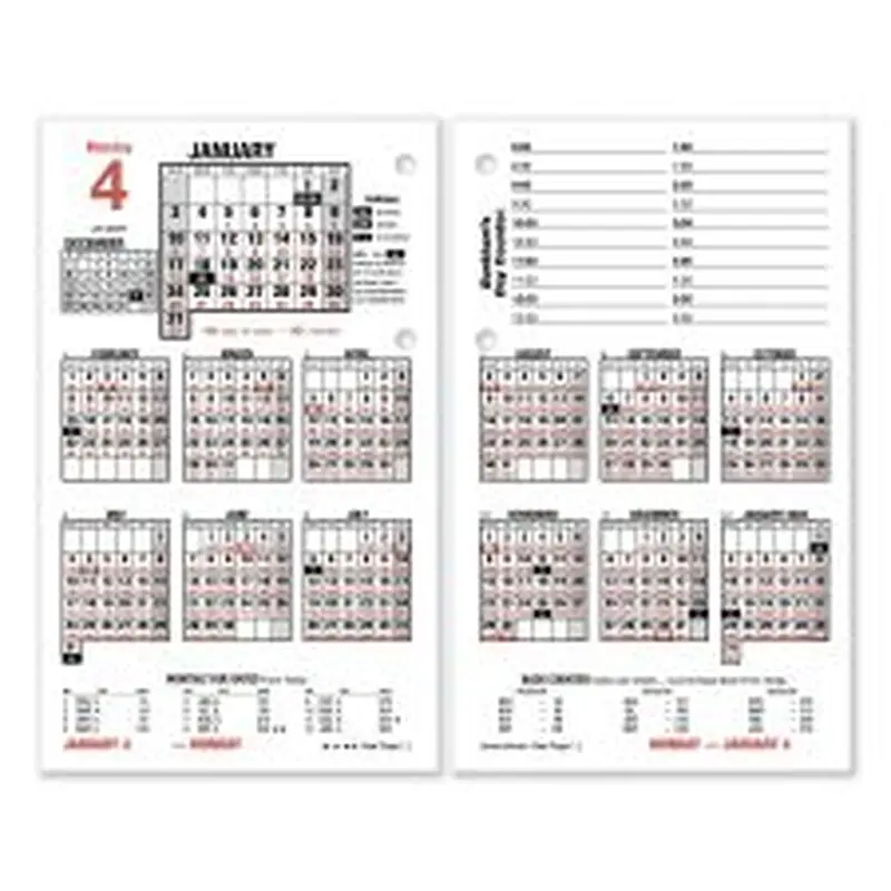 AT-A-GLANCE Burkhart's Day Counter Desk Calendar Refill, 4.5 x 7.38, White Sheets, 12-Month (Jan to Dec): 2026