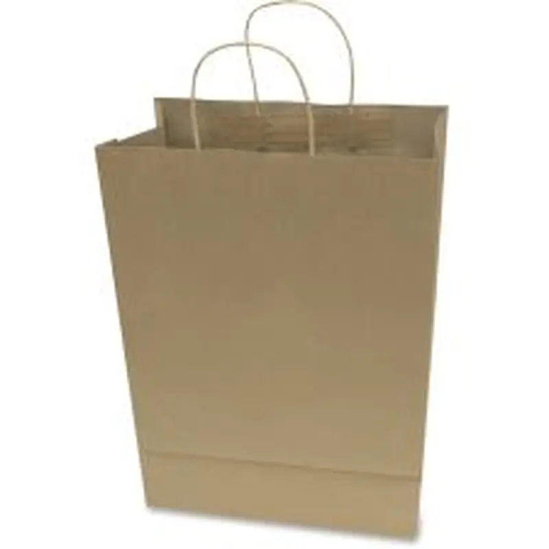 COSCO Premium Large Brown Paper Shopping Bags - 12" Width x 17" Length - Kraft - Paper - Shopping - 50 / Box