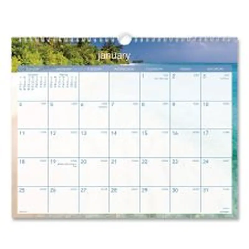 AT-A-GLANCE Tropical Escape Wall Calendar, Tropical Escape Photography, 15 x 12, Pale Blue/Multicolor Sheets, 12-Month (Jan to Dec): 2026