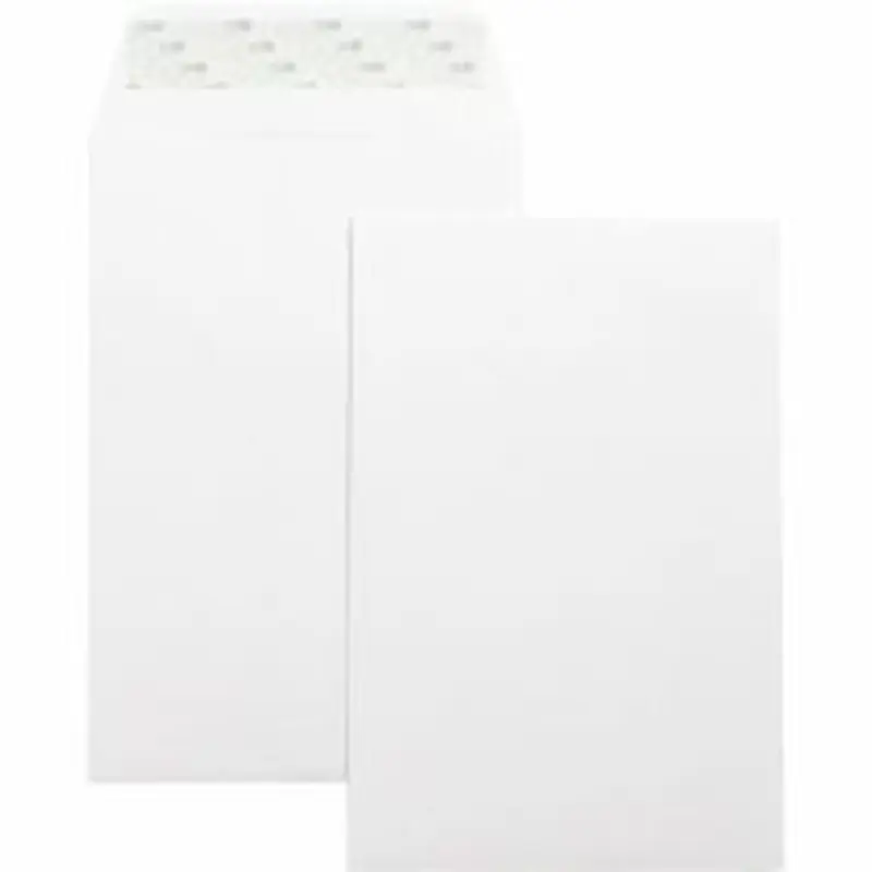 Business Source Self-Seal 6"x9" Catalog Envelopes - Catalog - 6" Width x 9" Length - 28 lb - Self-sealing - White - Wove - 100 / Box