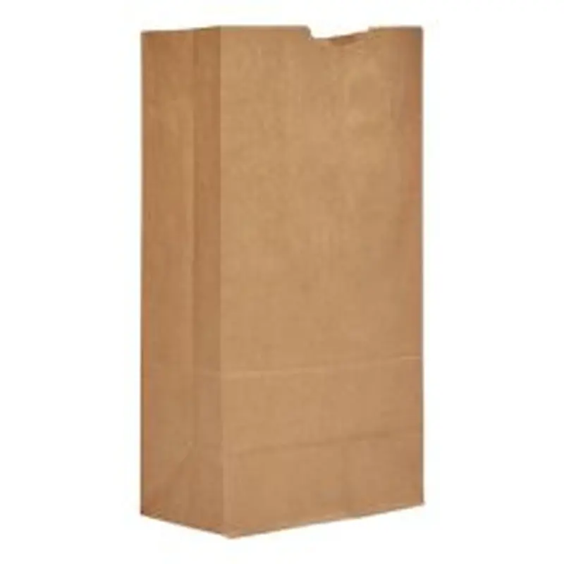 Ross & Wallace Paper Products Grocery Paper Bags, 20# Size, Heavy-Duty, 50# Basis Weight, 8.25" x 5.25" x 16.13", Kraft, 500/Bundle