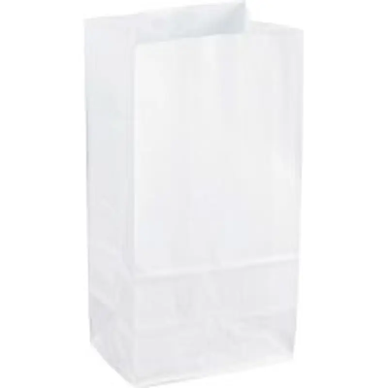 Sparco White Kraft Paper Bags - SPR99828