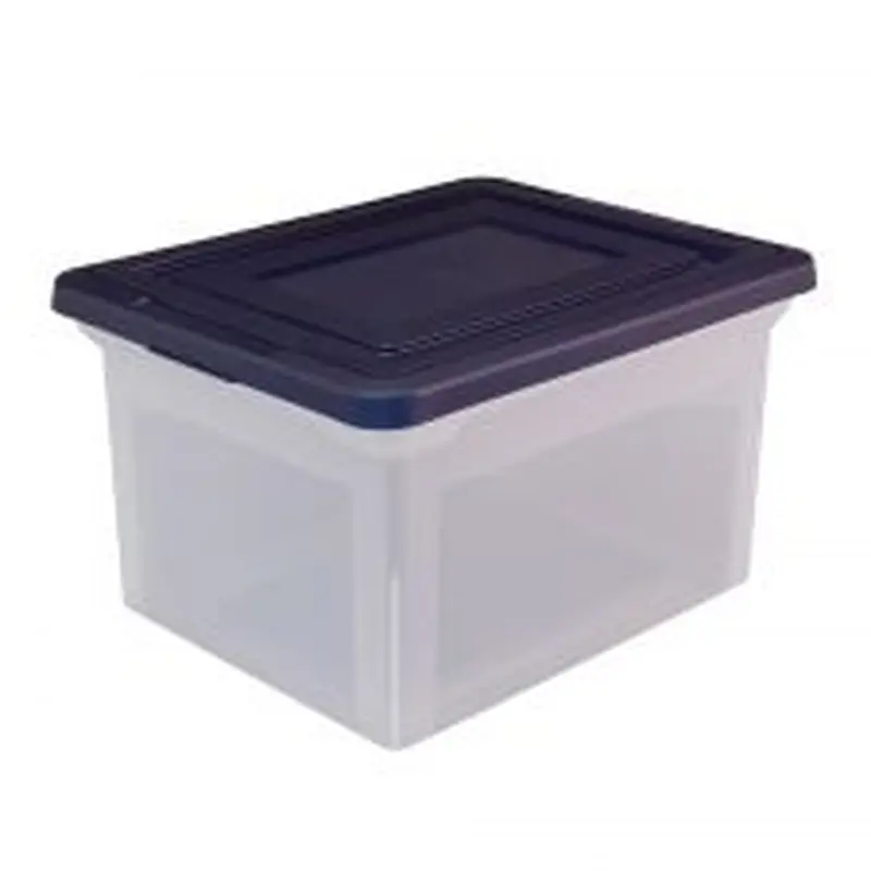 Letter And Legal File Tote, 18"L x 14 1/4"W x 10 7/8"H, Clear/Blue