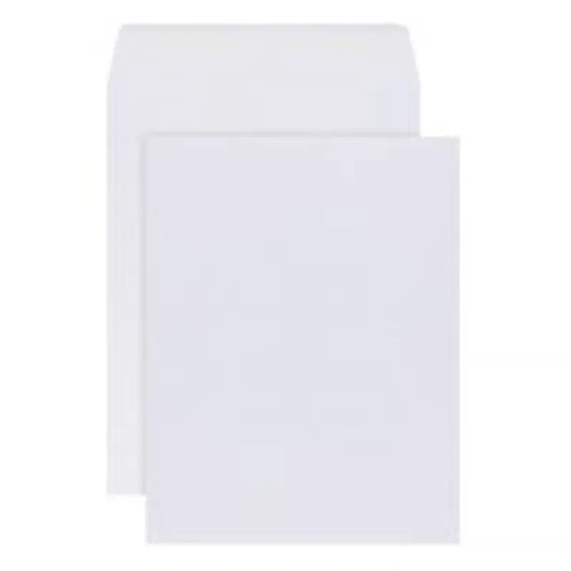 10" x 13" Catalog Envelopes, Gummed Seal, White, Box Of 250