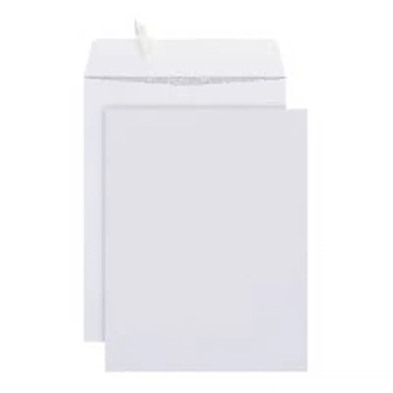 10" x 13" Catalog Envelopes, Security, Clean Seal, White, Box Of 100