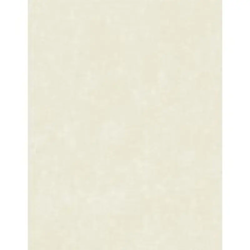 Great Papers! Stationery Letterhead, Ivory Parchment, 8.5" x 11", Printer Compatible, 100 sheets
