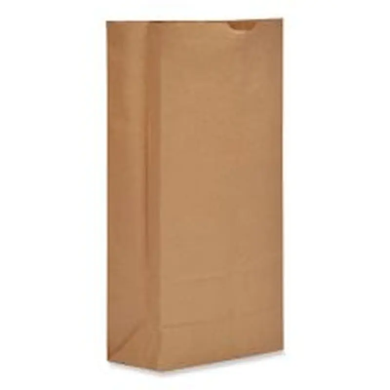 Ross & Wallace Paper Products Grocery Paper Bags, 25# Size, Heavy-Duty, 50# Basis Weight, 8.25" x 5.38" x 18", Kraft, 500/Bundle