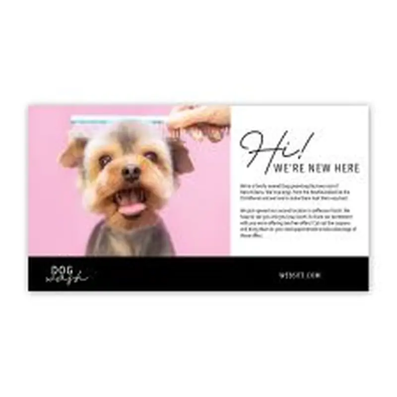 6" x 11" Postcards Front Only (25/PK)