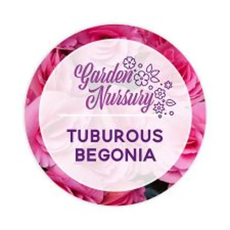 3" Circle 4 Color Process (100/PK)