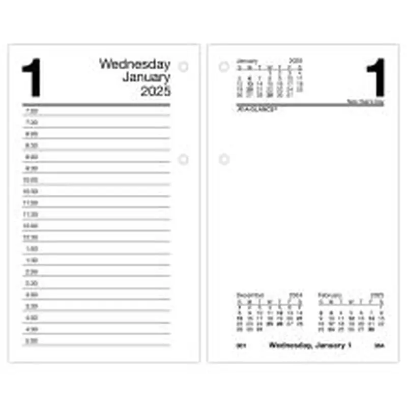2025 AT-A-GLANCE Daily Loose-Leaf Daily Desk Calendar Refill, 3-1/2" x 6", Traditional, January 2025 To December 2025, E71750