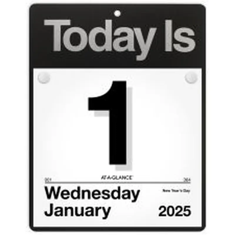 2025 AT-A-GLANCE Daily Wall Calendar, 8-1/2" x 8", "Today Is", January To December