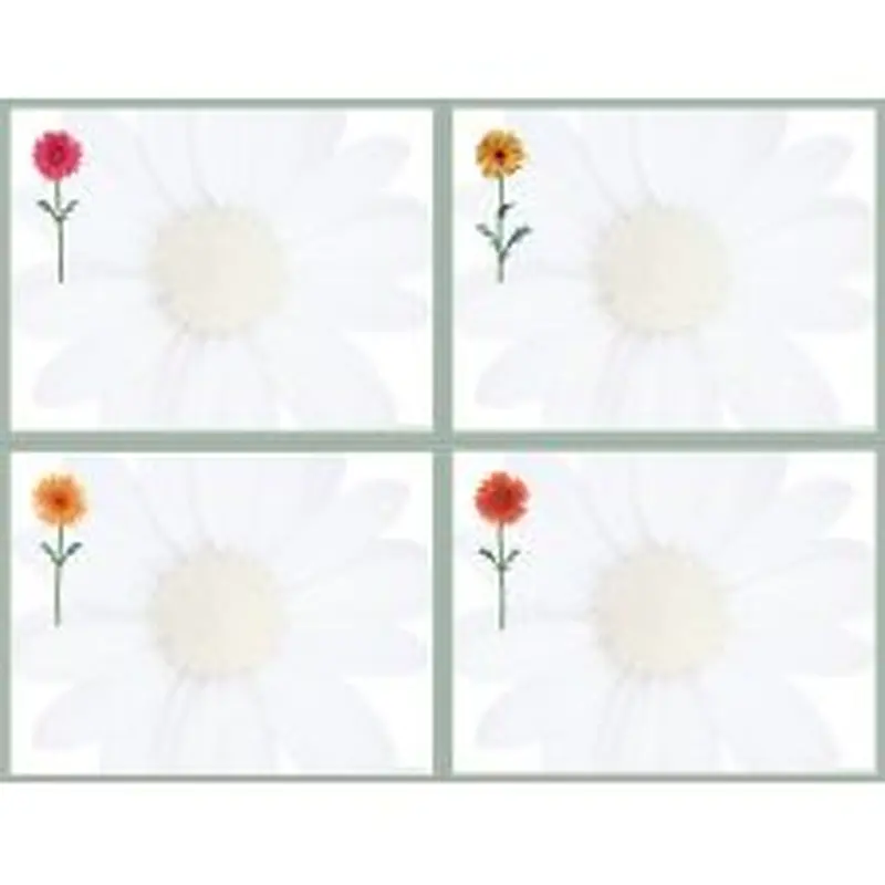 Great Papers! Postcards, 4-Up, Daisies, 8.5" x 11" sheet/4.25" x 5.5" postcard, 10 sheets/40 postcards, Printer Compatible
