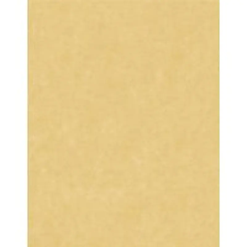 Great Papers! Stationery Letterhead, Gold Parchment, 8.5" x 11", Printer Compatible, 100 sheets