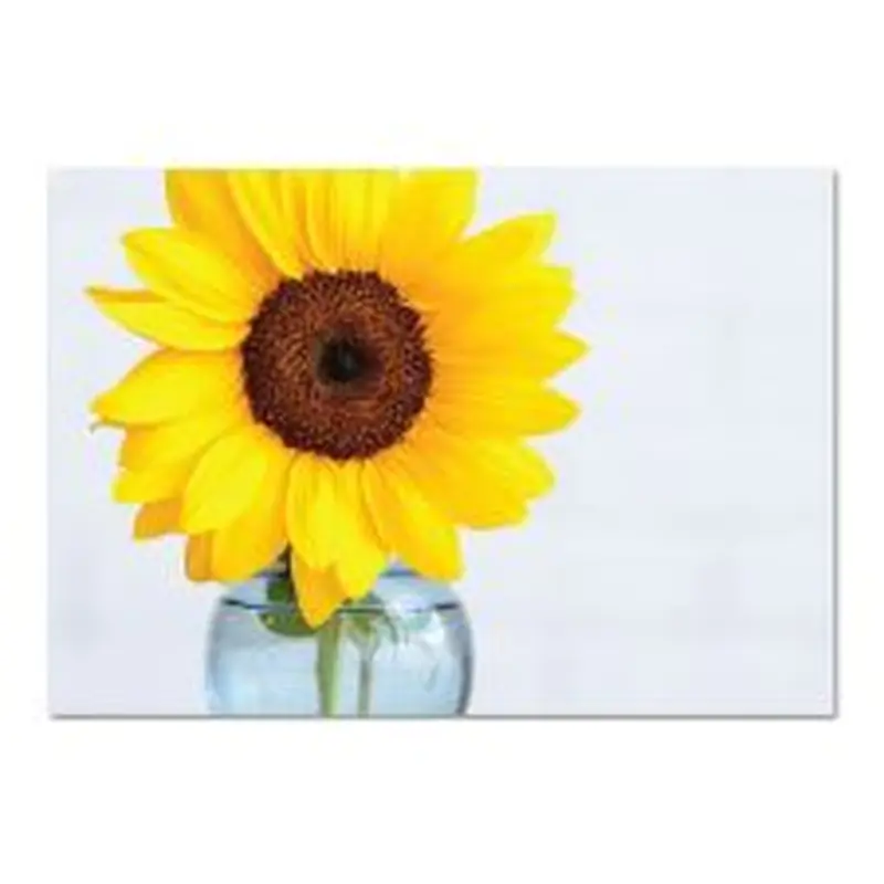Great Papers! Note Card and Envelopes, Brighter Days, 4.875" x 3.375"(folded) 50 count