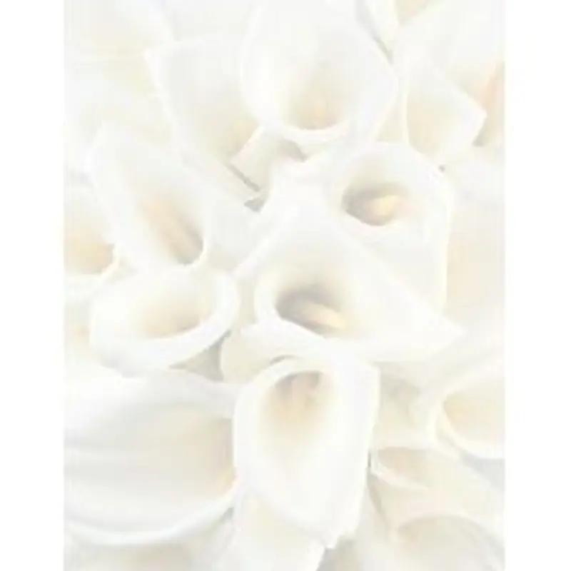 Great Papers! Stationery Letterhead, White Calla Lilies, 8.5" x 11", Printer Compatible, 80 sheets