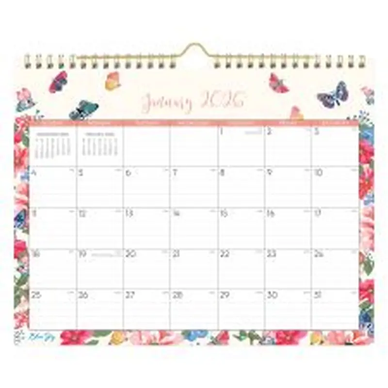 2026 Blue Sky Monthly Wall Calendar, 11 x 8-3/4, Fly By, January To December, 148643