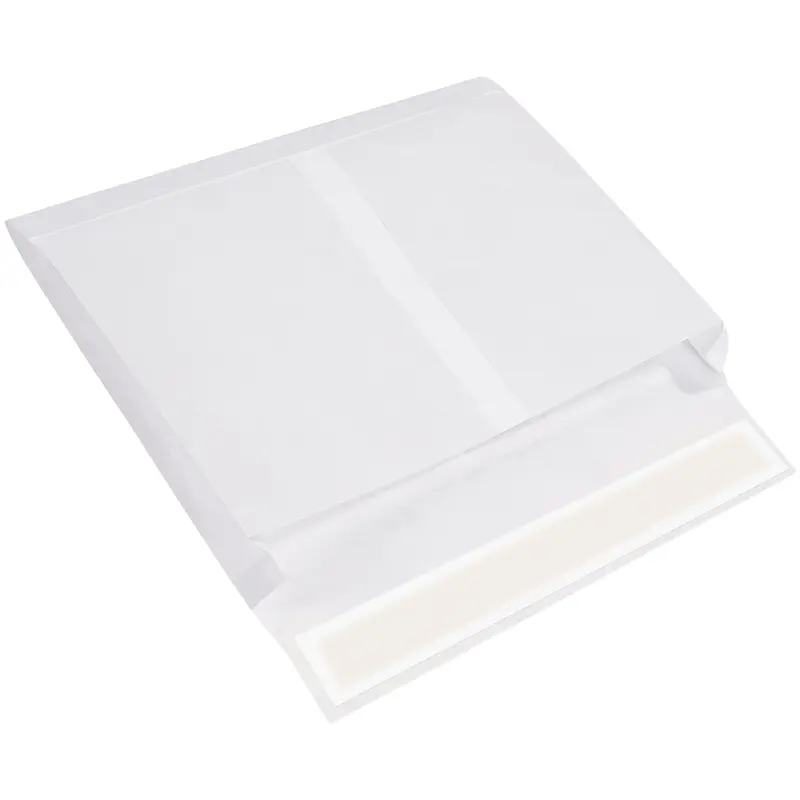 10 x 15 x 2" White Expandable Tyvek Envelopes (TYE10152WS) Case Of 100