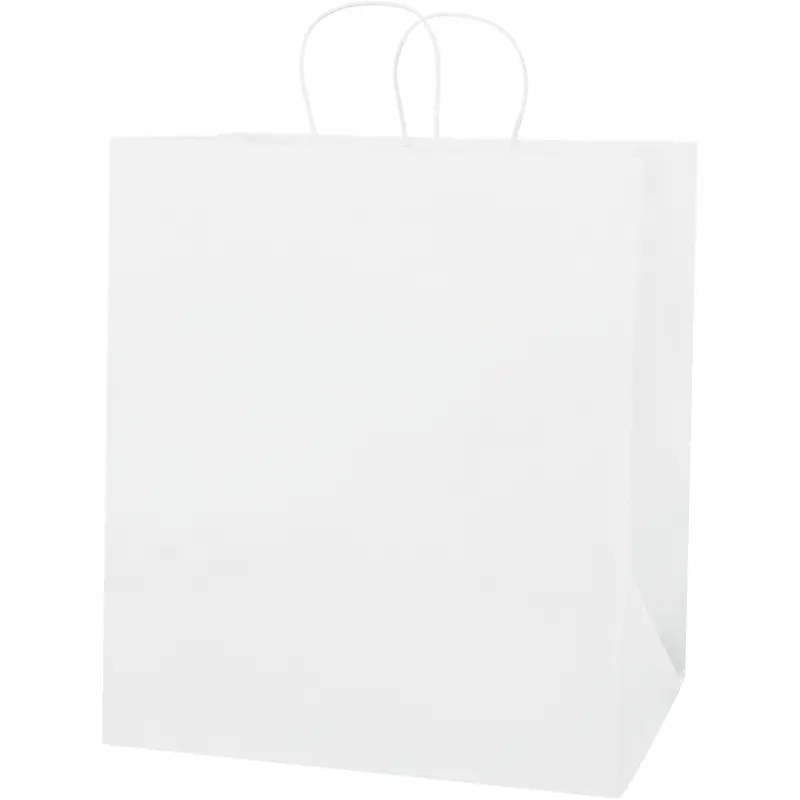 14 1/2 x 9 x 16 1/4" White Paper Shopping Bags (BGS107W) Case Of 200