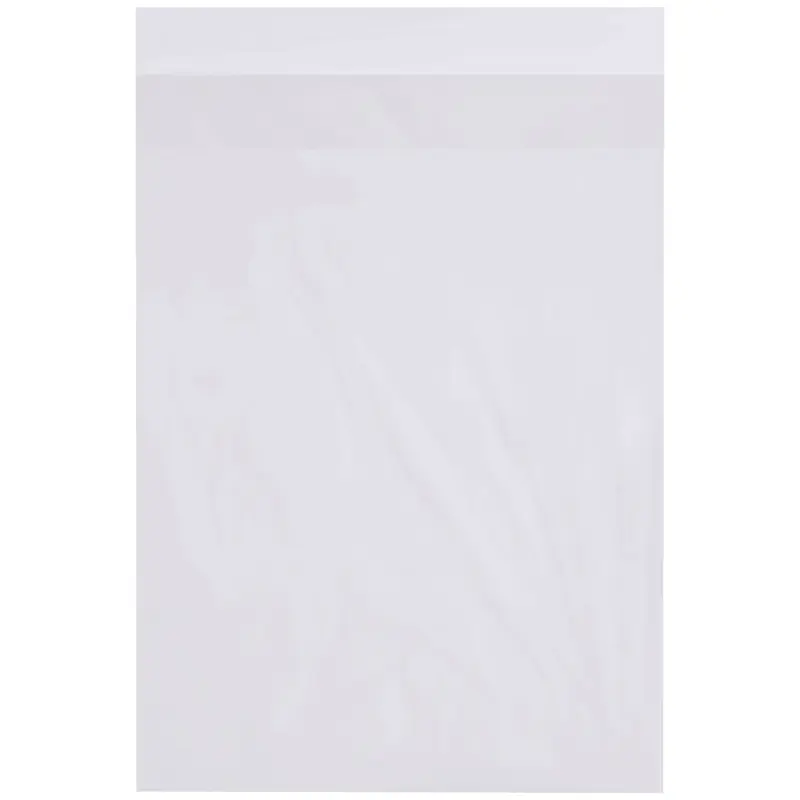 18 x 24" - 2 Mil Flap Lock Poly Bags (PBFL182402) Case Of 500