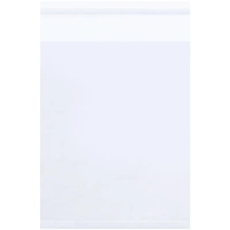 2 x 3" - 1.5 Mil Resealable Polypropylene Bags (PBR100) Case Of 1000