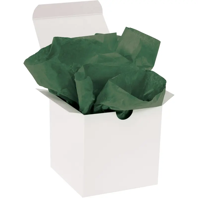 20 x 30" Evergreen Gift Grade Tissue Paper (T2030T) Case Of 480
