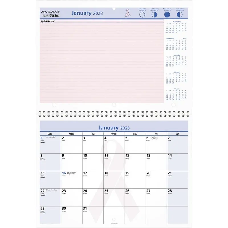 At-A-Glance QuickNotes Special Edition Monthly Wall Calendar [SKU - AAGPMPN5028]EA