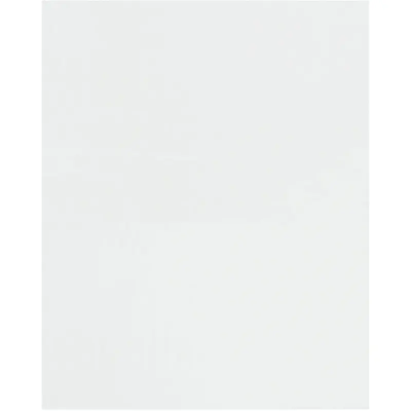 10 x 15 (1.5 mil) Flat Polypropylene Bags 1000/Case