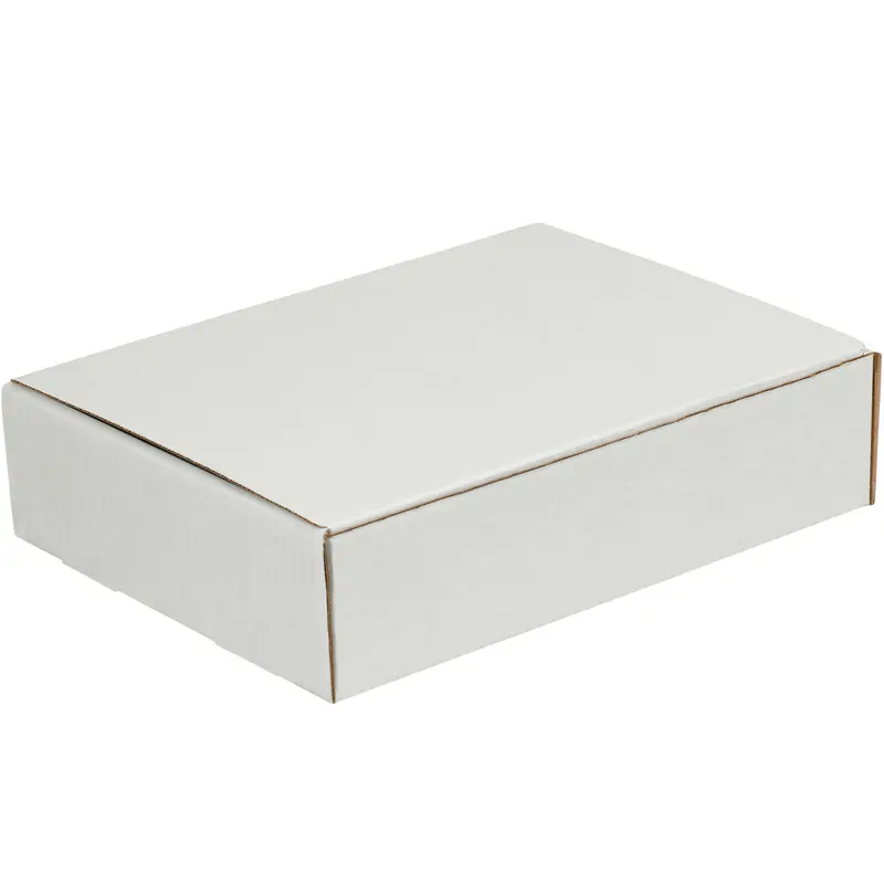 12 1/8 x 9 1/4 x 3 White Literature Mailers 50/Bundle