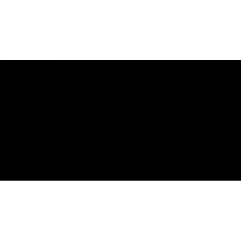 2 x 4" Black Inventory Rectangle Labels 500/Roll