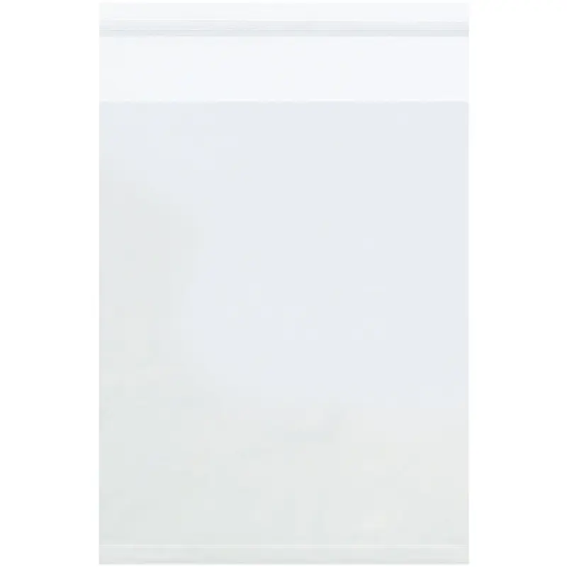 4 x 10 Clear Resealable Polypropylene Bags (1.5 mil) 1000/Case