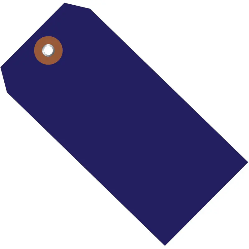 6 1/4 x 3 1/8 Blue Plastic Shipping Tags 100/Case
