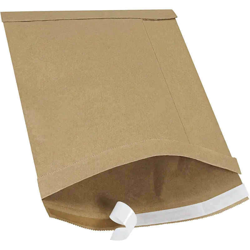 6 x 10 - #0 Self-Seal Kraft Padded Mailer 250/Case