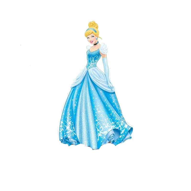 ( Net ) Cinderella Costume For KidsSmall