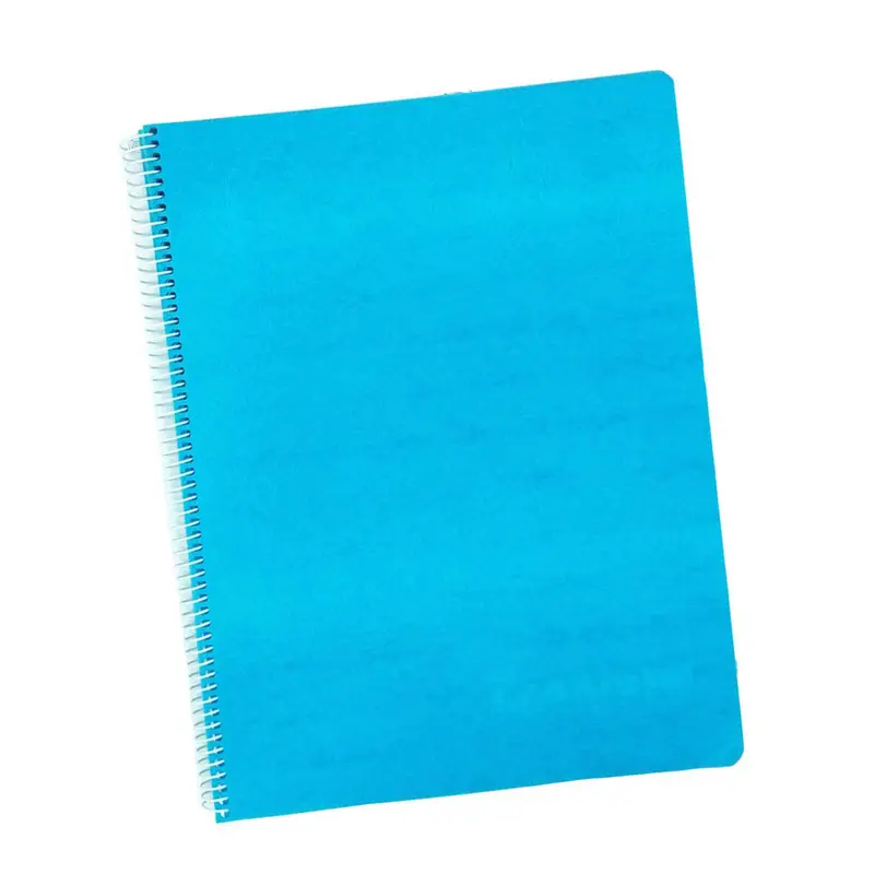 (NET) OPP PP  - 70 gsm , 21x27.5cm