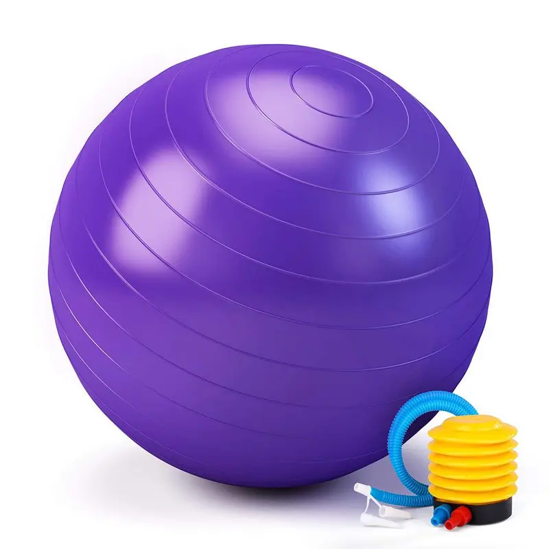 **NET**Yoga Series Ball With Pump Fitness / KC-116Purple