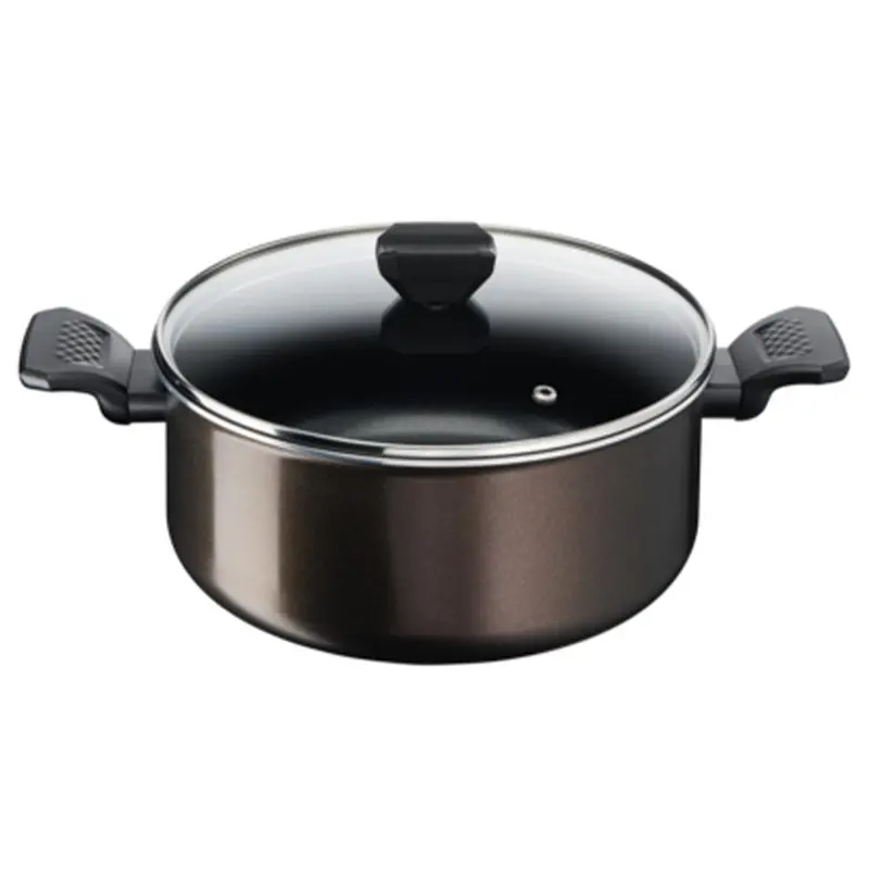 Tefal Easy Cook And Clean Stewpot 24cm   Glass Lid / B5544602