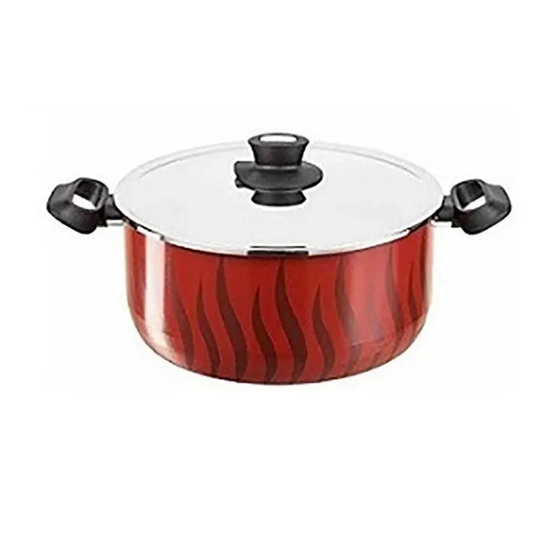 Tefal Tempo Flame Dutch Oven 30 cm   Stainless Steel Lid / C5485483